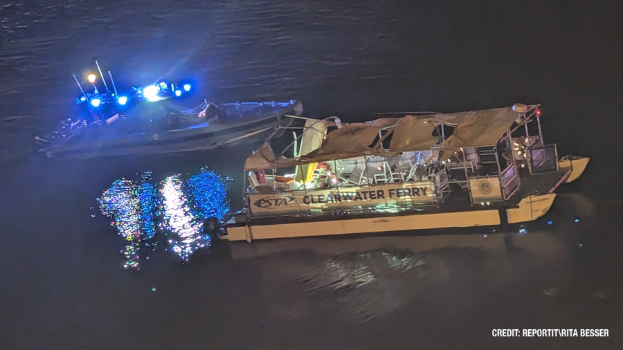 Clearwater police release new details in deadly ferry hit-and-run crash