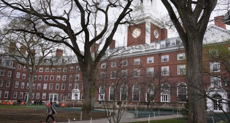 Colleges ain’t car dealerships: The case for privatizing higher education is bankrupt