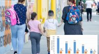 DOE failed to inspect 82% of NYC schools with known carcinogen asbestos: audit
