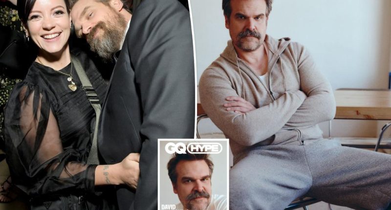 David Harbour plays coy about Lily Allen split rumors