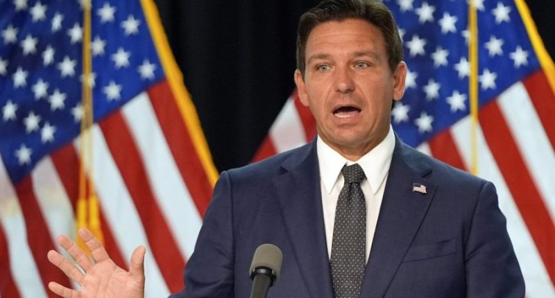 DeSantis slams Randy Fine after Florida election win, calls him a 'squish' who 'repels people'
