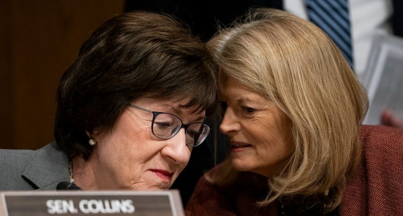 Democrats peel away some Republicans on Trump budget bill amendment votes