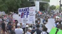 Demonstrators protest against President Trump and Elon Musk throughout Tampa Bay