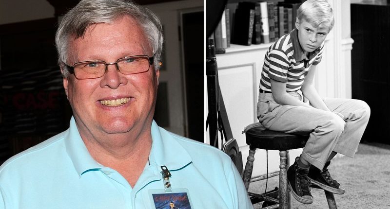 Dennis the Menace star Jay North dead at 73