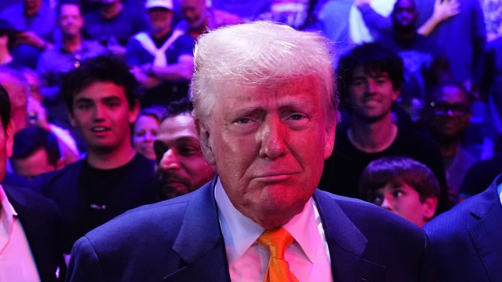 Donald Trump joined by Elon Musk and MAGA entourage at UFC 314