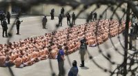 a large group of people are lined up in a prison yard