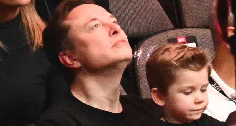 Elon Musk breaks silence on claims about his 'legion' of kids