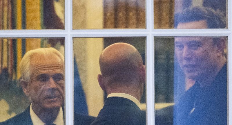 Elon Musk escalates MAGA civil war over Trump's tariffs