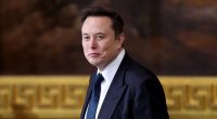 Elon Musk takes a rare swipe at high-up Trump advisor over tariffs