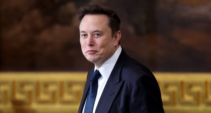 Elon Musk takes a rare swipe at high-up Trump advisor over tariffs