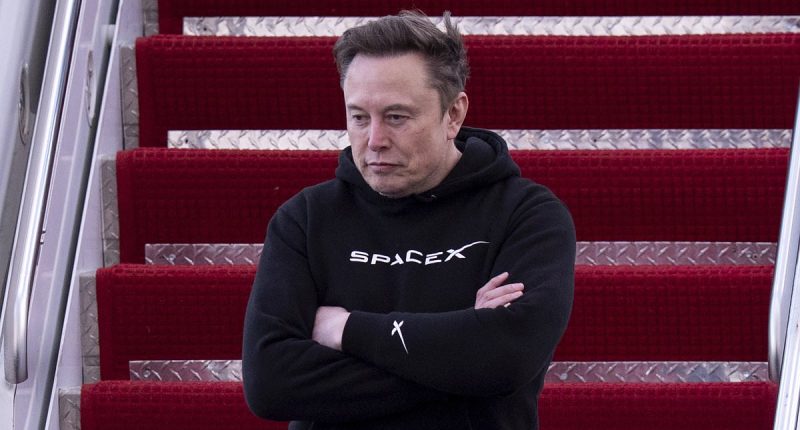 Elon Musk's obscene offer to baby mama Ashley St Clair for her silence