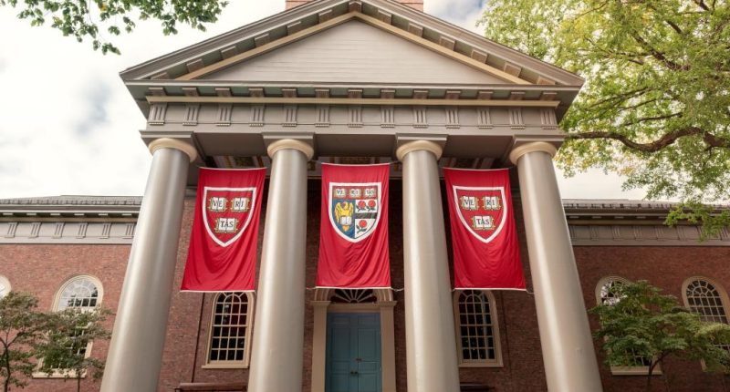 Evict the squatters — universities are still worth saving