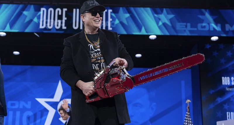 Expert exposes why Musk's DOGE 'whiz kids' are really in Washington