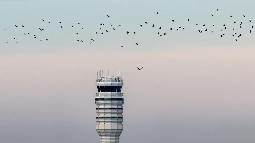 FAA employee charged with assault after altercation in air traffic control tower at Reagan National Airport