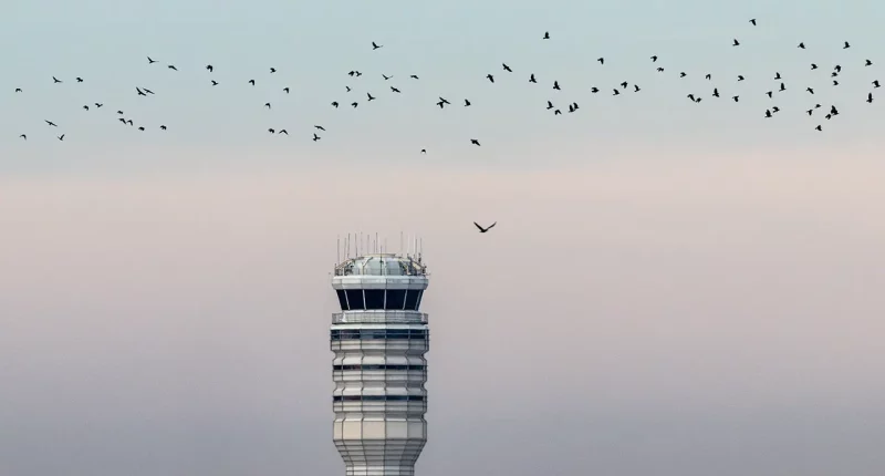 FAA employee charged with assault after altercation in air traffic control tower at Reagan National Airport