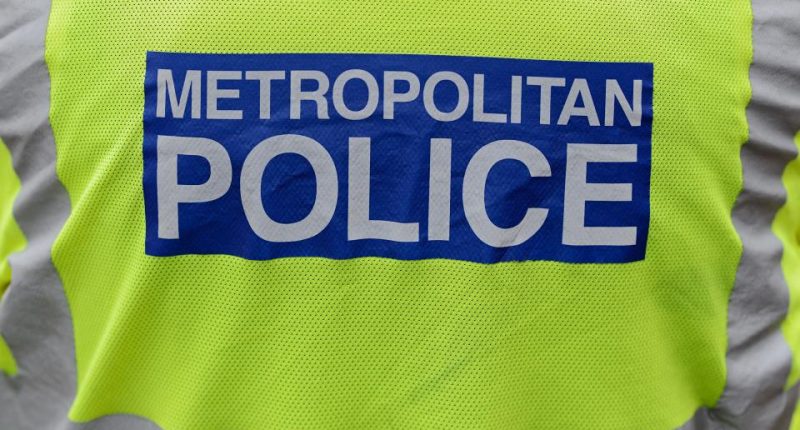 Close-up of a Metropolitan Police officer's back.