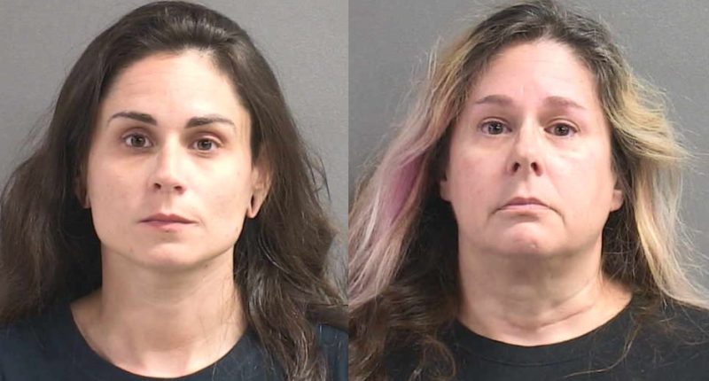 Florida Curio Shop Owners Busted for Selling Human Remains on Facebook Marketplace