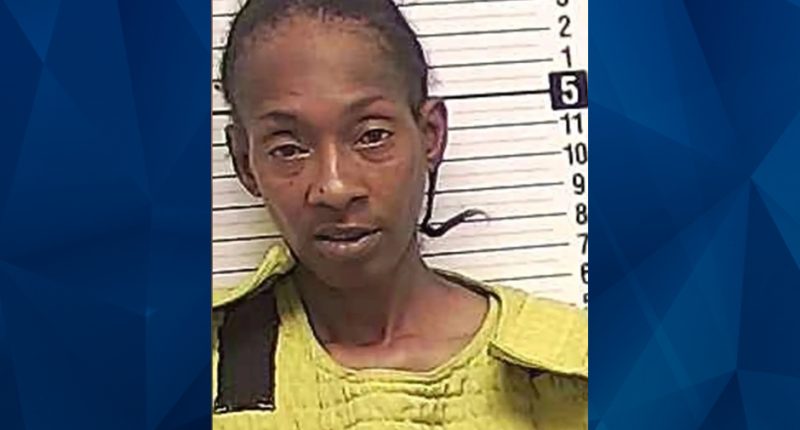 Florida Woman Dressed Up as ICE Agent to Kidnap Ex-Boyfriend’s Wife