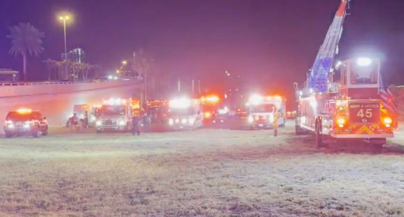 Florida ferry carrying dozens of passengers struck by boat in hit-and-run: 'Mass casualty incident'
