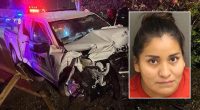 Florida police officer injured after illegal alien crashes into marked patrol car