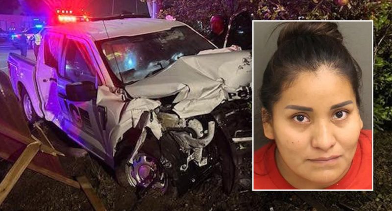 Florida police officer injured after illegal alien crashes into marked patrol car