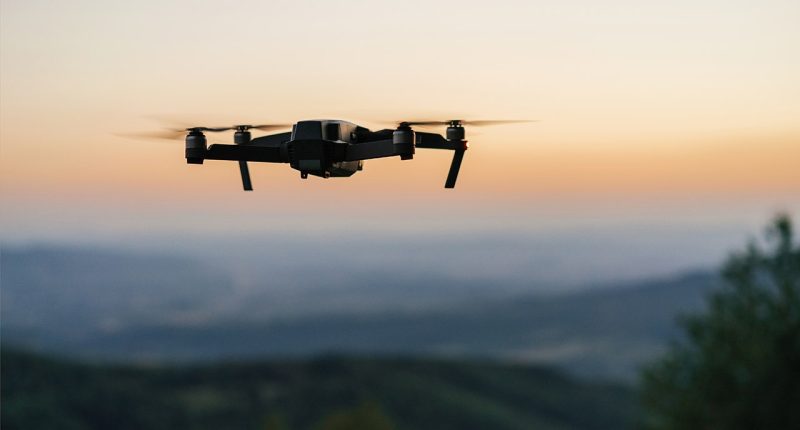 Florida property owners pestered by spying drones could soon be allowed to fight back with 'force'