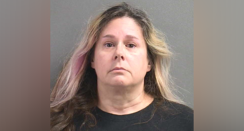 Florida woman charged with buying and selling human bones online: 'Wicked Wonderland'