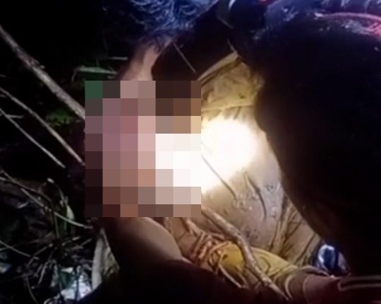 A woman's body partially consumed by a python.