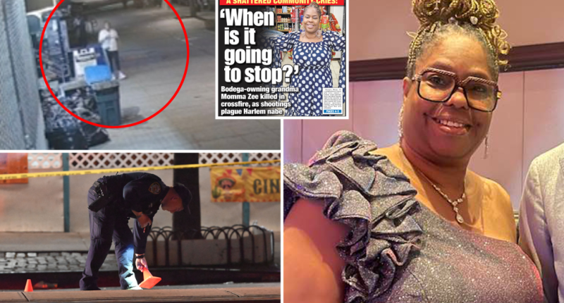 Gunman who allegedly fatally shot beloved NYC bodega-owner, grandma turns himself in: sources