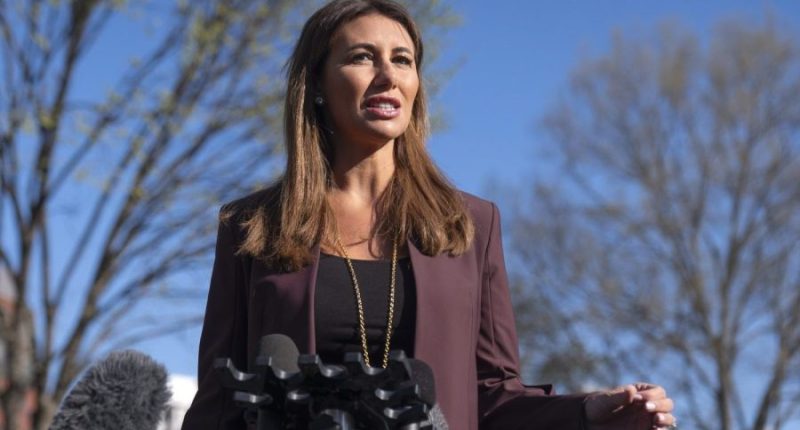 Habba opening investigation into top New Jersey Democrats