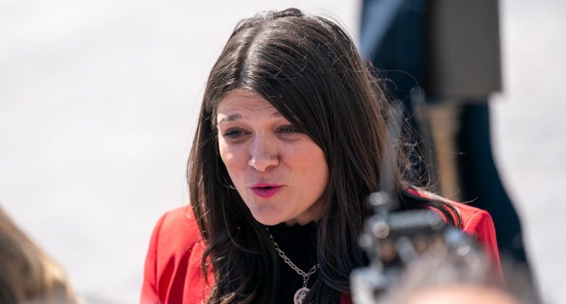 Haley Stevens launches bid for Michigan Senate seat