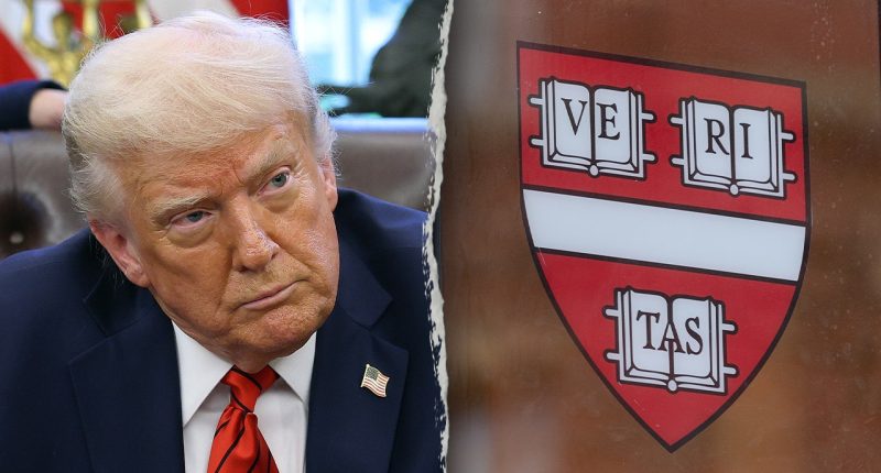 Harvard sues Trump administration over 'unlawful' multibillion dollar budget cuts