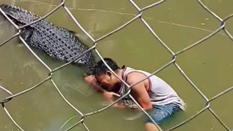 A man being attacked by a crocodile in a zoo enclosure.