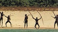 How North Sentinel Island locals are ALLOWED to kill outsiders