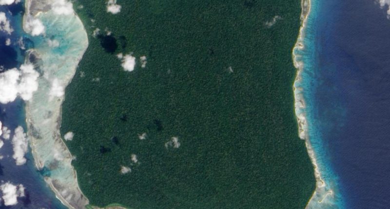 Satellite image of North Sentinel Island.