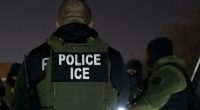 ICE, Florida law enforcement make nearly 800 arrests in multi-day operation