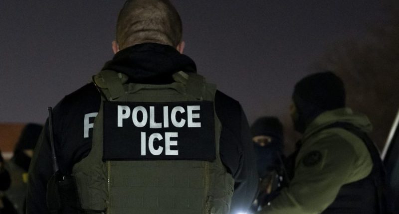 ICE, Florida law enforcement make nearly 800 arrests in multi-day operation