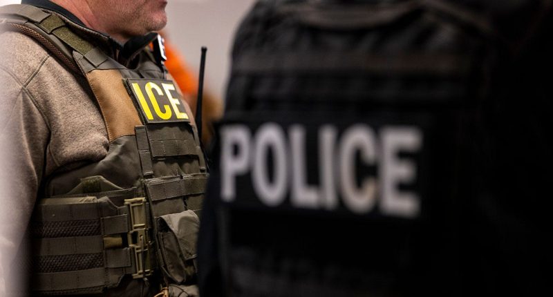 ICE accelerating removal operations by adding 500 more beds in Florida jail