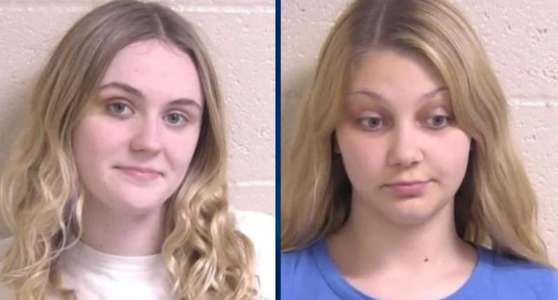 Illinois Teens Charged With Mob Action for Dragging Woman into Woods and Beating Her Up