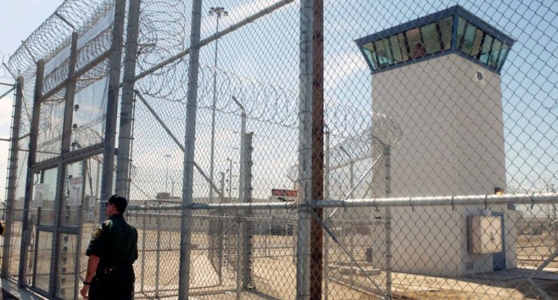 In the US, all criminal records are life sentences