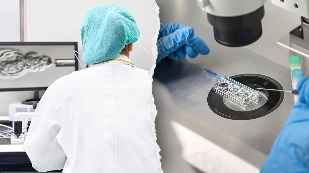 In vitro fertilization mix-up leaves mother with wrong baby, clinic blames 'human error'