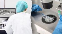 In vitro fertilization mix-up leaves mother with wrong baby, clinic blames 'human error'
