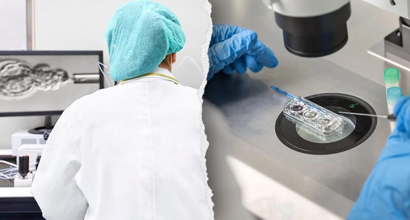 In vitro fertilization mix-up leaves mother with wrong baby, clinic blames 'human error'