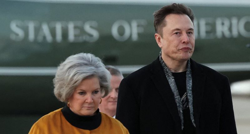 Inside Elon Musk's dangerous battles with Trump's 'Ice Maiden'