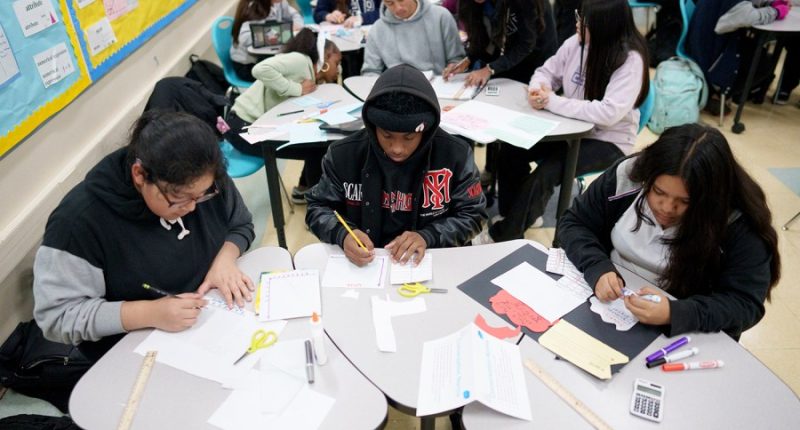 K-12 schools face major Trump test on DEI demand