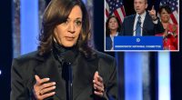 Kamala Harris' tentative return to politics is a DNC fundraiser where tickets start at $25K: report