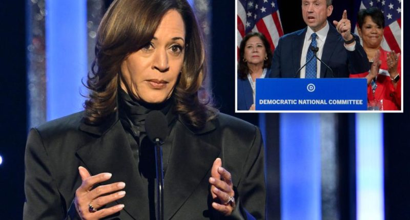 Kamala Harris' tentative return to politics is a DNC fundraiser where tickets start at $25K: report