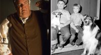 'Lassie' actor Joey D. Vieira dead at 80