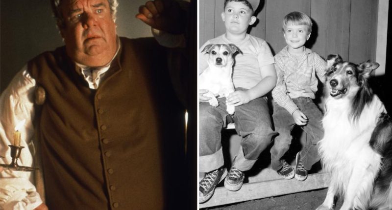 'Lassie' actor Joey D. Vieira dead at 80