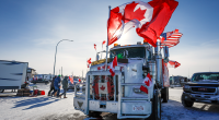 Leading Canadian conservative says Ottawa should remove all tariffs as 'Liberation Day' arrives